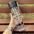 Double Lid Fruit Infusion Water Bottle