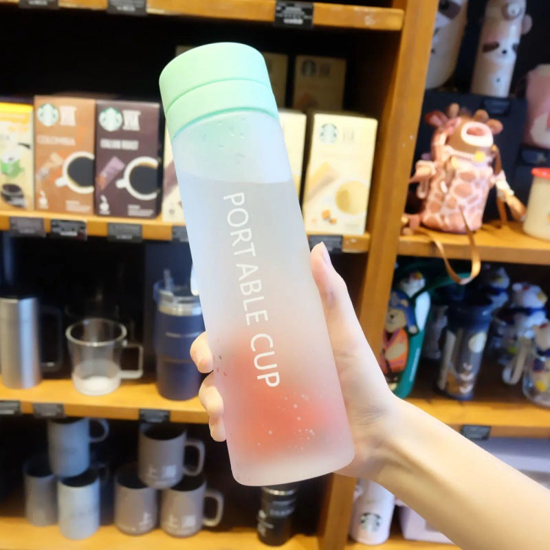 Double Lid Fruit Infusion Water Bottle